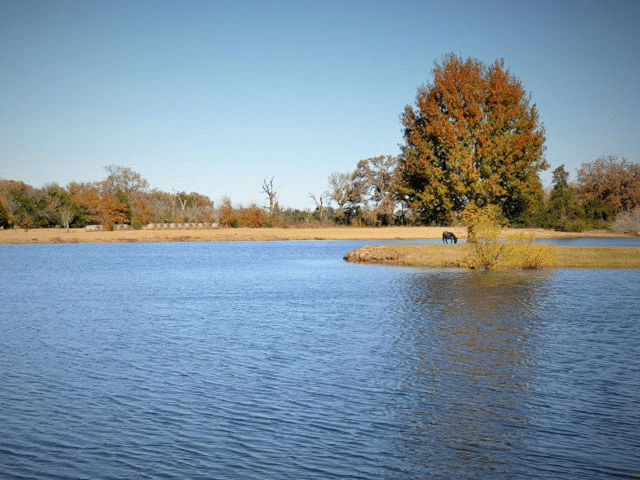 nature trails and swimming access