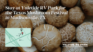 Stay at Yuletide RV Park for the Texas Mushroom Festival in Madisonville, TX