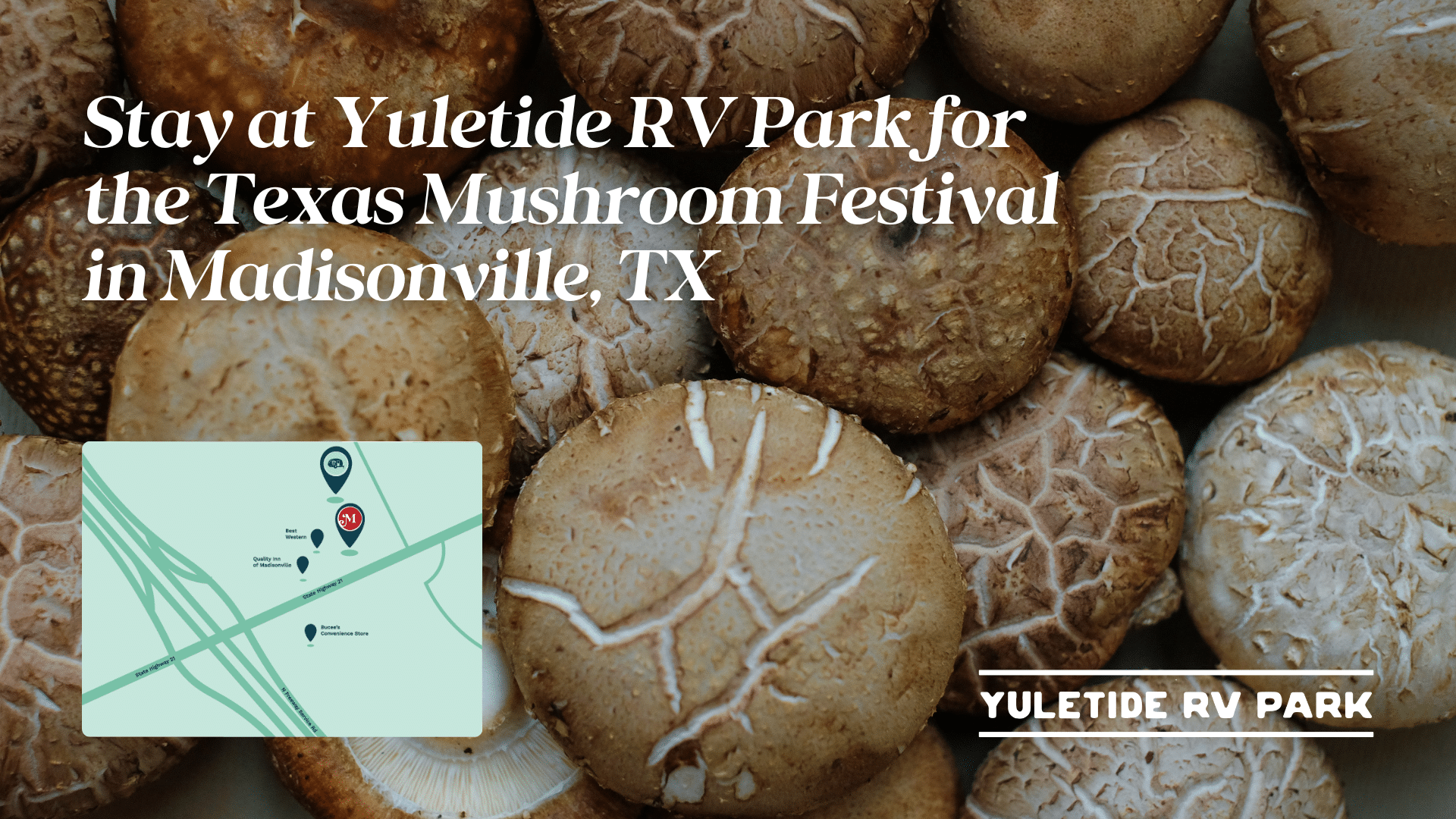 Stay at Yuletide RV Park for the Texas Mushroom Festival in Madisonville, TX