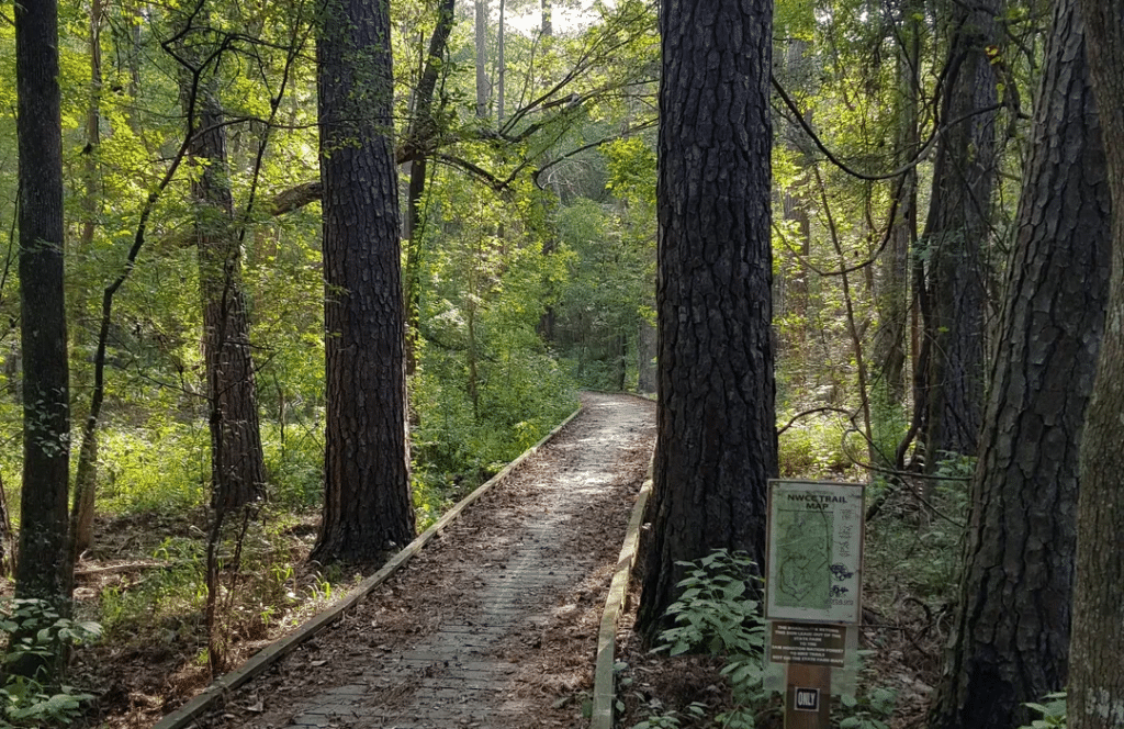 A pet-friendly trail at Huntsville State Park, which is roughly 30 minutes from our pet-friendly RV park in Madisonville, TX.